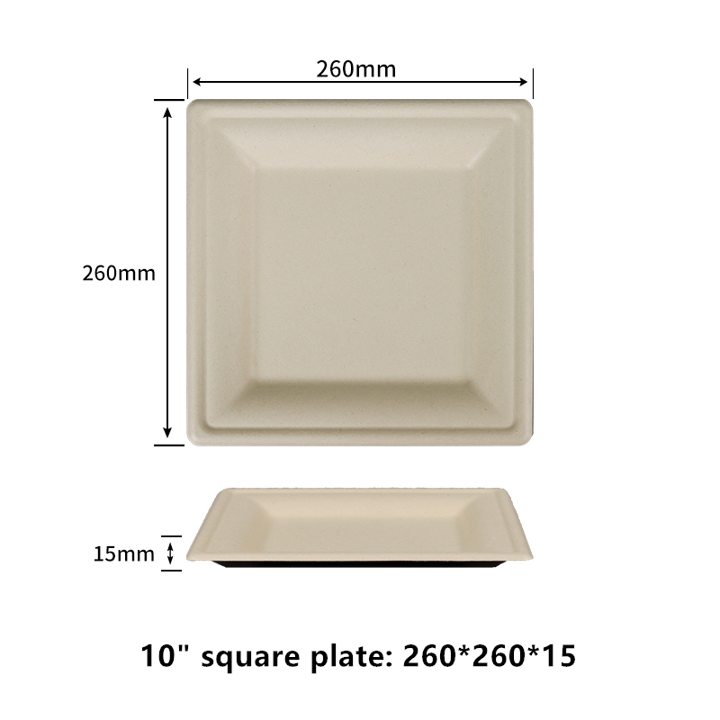 100% 可堆肥 10 英寸方形纸盘不含 PFAS BPI 认证重型环保可生物降解甘蔗渣餐盘