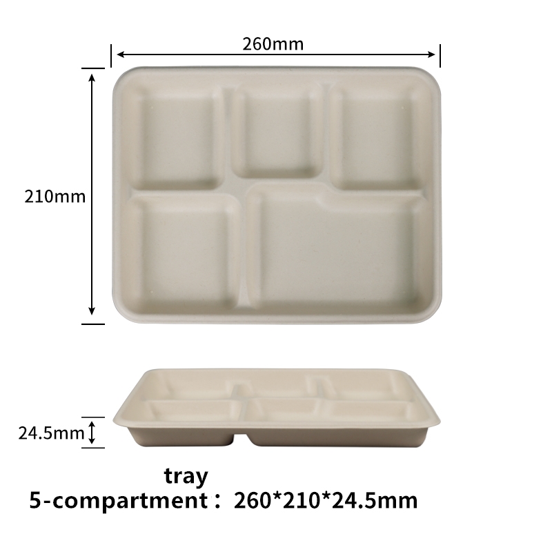 100% 可堆肥 5 隔间纸盘一次性学校午餐托盘、环保甘蔗渣盘，适合自助餐和派对