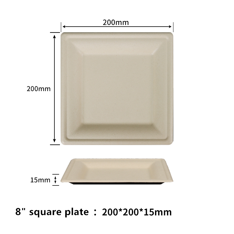 8 英寸可堆肥纸盘方形盘子一次性环保可生物降解甘蔗纤维制成