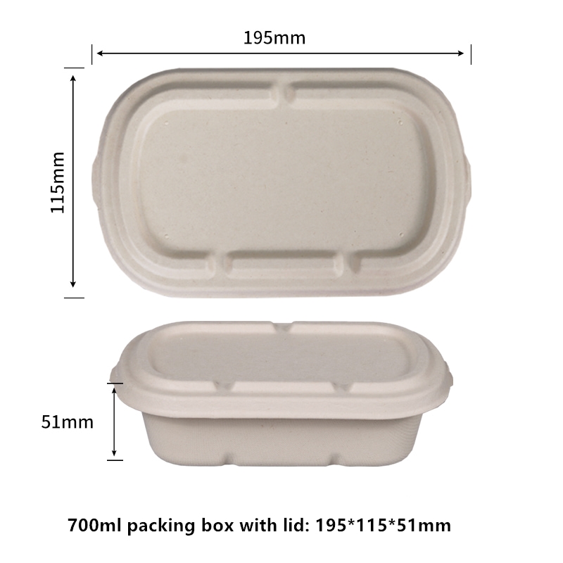 不含 PFAS 甘蔗 100% 可生物降解 不含 PFAS 700ml 带盖翻盖式食品容器 可堆肥汉堡外卖容器 - 生态甘蔗渣外卖盒 一次性微波炉盒