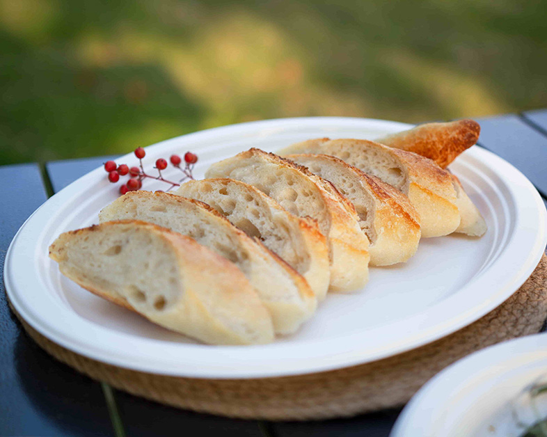 Sustainable Innovation in Dining: Biodegradable Sugarcane Pulp Tableware