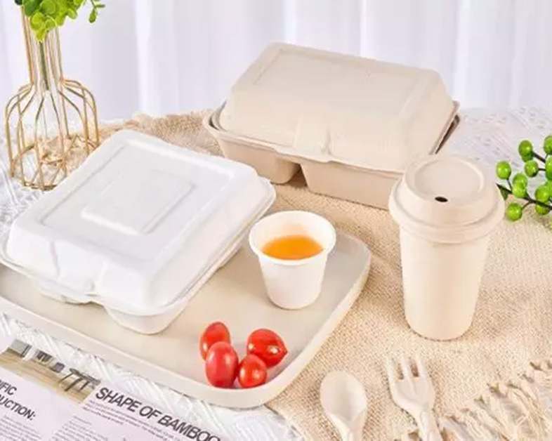 到 2030 年，甘蔗渣餐具市场将达到 3.567 亿美元：可持续替代品获得动力