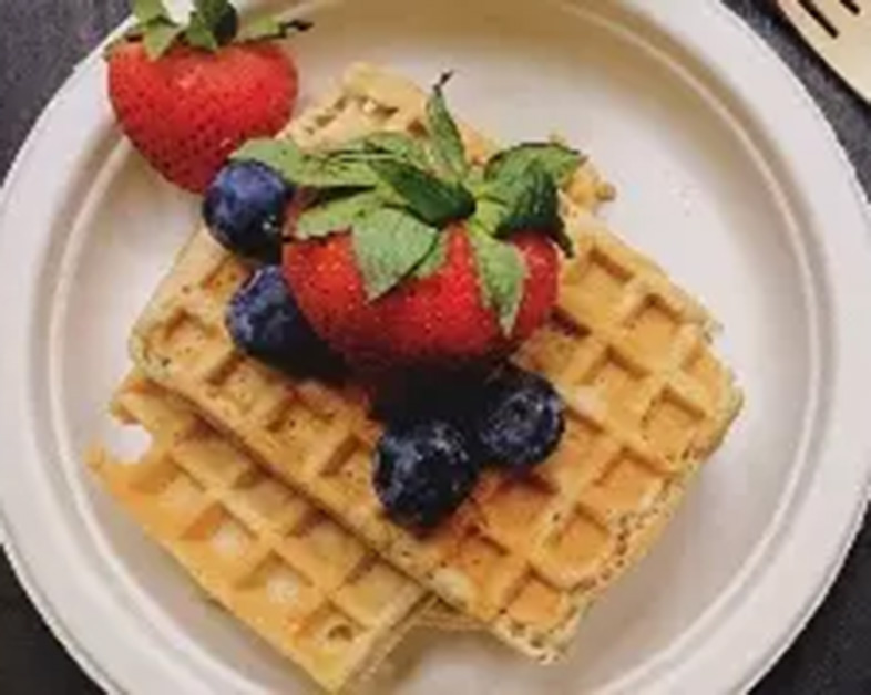 甘蔗渣：一种多功能且可持续的生物材料