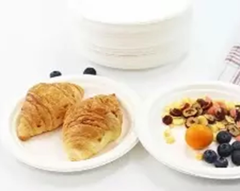我们对可持续和生态绿色餐饮服务的愿景