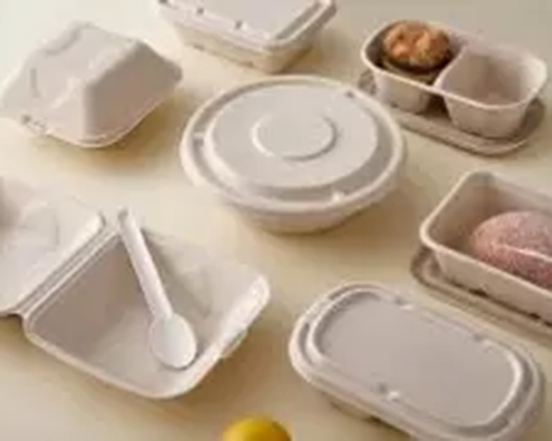 甘蔗浆可生物降解盘子：餐具的可持续革命