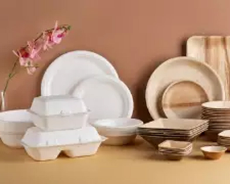 使用塑料和泡沫容器的环保替代品走向绿色
