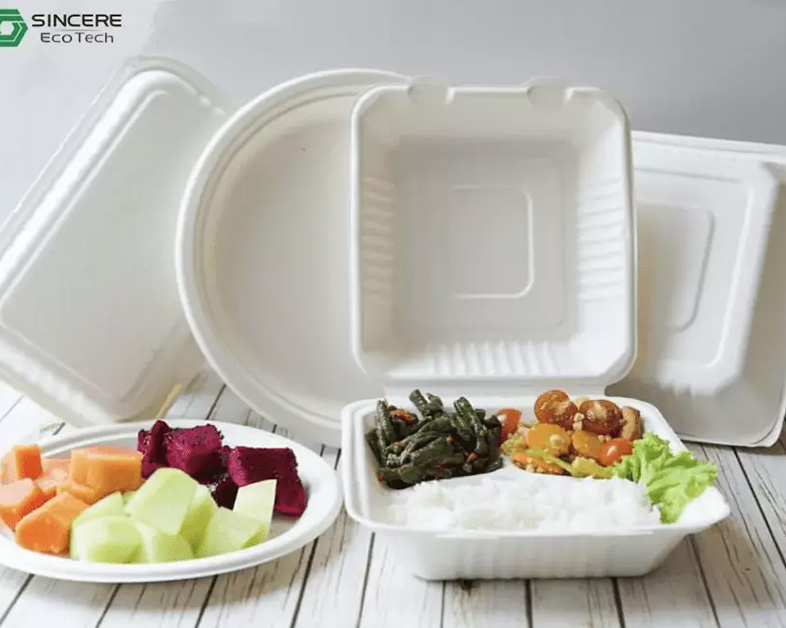 甘蔗餐具：适合各种场合的完美选择