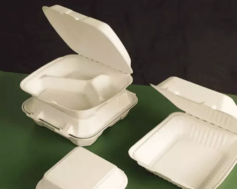 甘蔗浆（模塑纸浆）食品容器的未来前景如何？